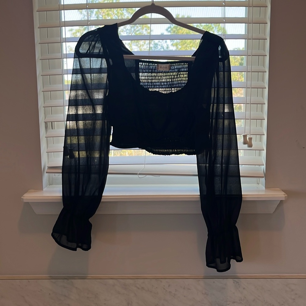 Altard state cropped sheer long sleeve